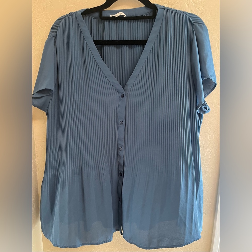 Pleione Blue Button-Down Blouse